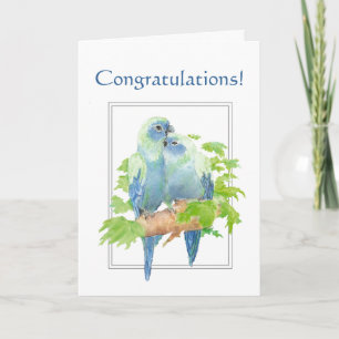 Grattisar för Koppla med Cute Parrot Kort