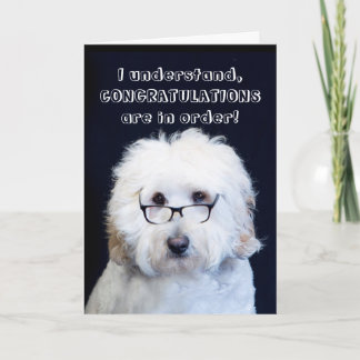GRATTISAR - HUMOR W/HUND/SVART RIM-GLAS KORT
