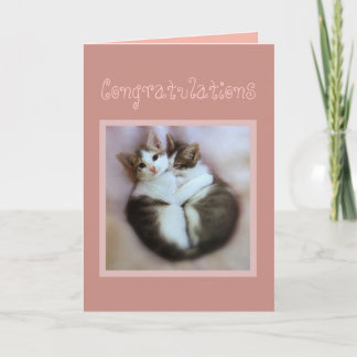 Grattisar Kittens i Kärlek Kort
