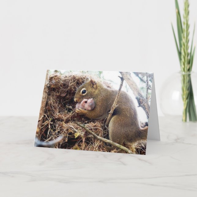 Grattisar Nytt Mamma Baby-kort Helgkort (Framsida)