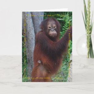 Grattisar och bästa Önskemål Kort