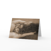 Grattisar om ditt antagande!