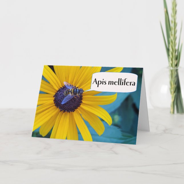 Grattisar om vinnande stavningsbi kort (Framsida)