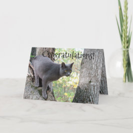 Grattisar Önskar Kort