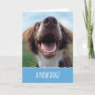 Grattisar på din nya Hund, Lycklig Valp Kort