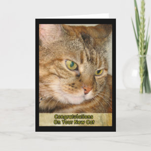 Grattisar på din nya katt kort
