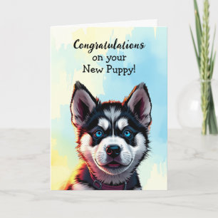 Grattisar på din nya valp Husky Kort