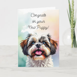 Grattisar på din nya valp Shih Tzu Kort