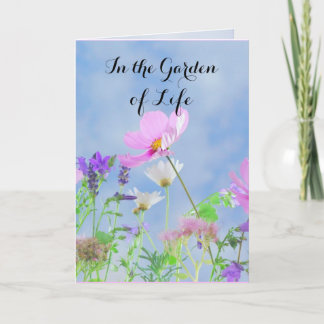 Grattisar på din skilsmässa kort