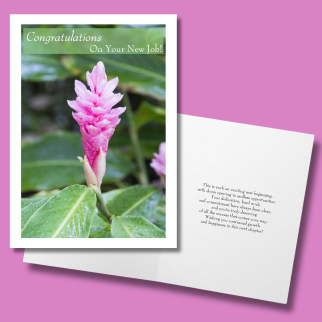 Grattisar på ditt nya jobb Rosa Ginger Flower Kort (Skapare uppladdad)