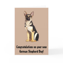 Grattisar på Hund Din nya tyska shepherd