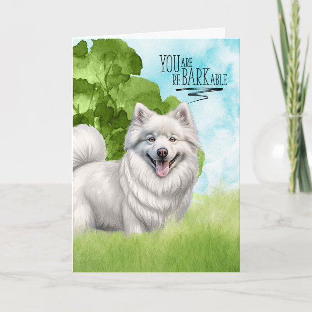 Grattisar reBARKable American Eskimo Hund Kort (Framsida)