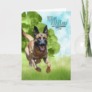 Grattisar reBARKable Belgium Malinois Hund Kort
