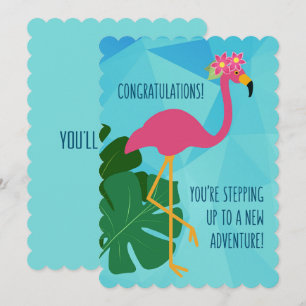 Grattisar som ökar Flamingo