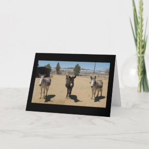 Grattisar Veterinary Student - Ranch Farm Kort