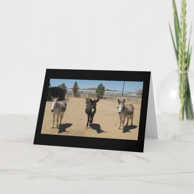 Grattisar Veterinary Student - Ranch Farm Kort (Framsida)