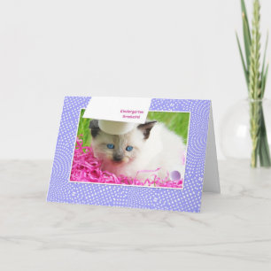 Grattisarna Cute Kattunge Kindergarten Studenten Kort