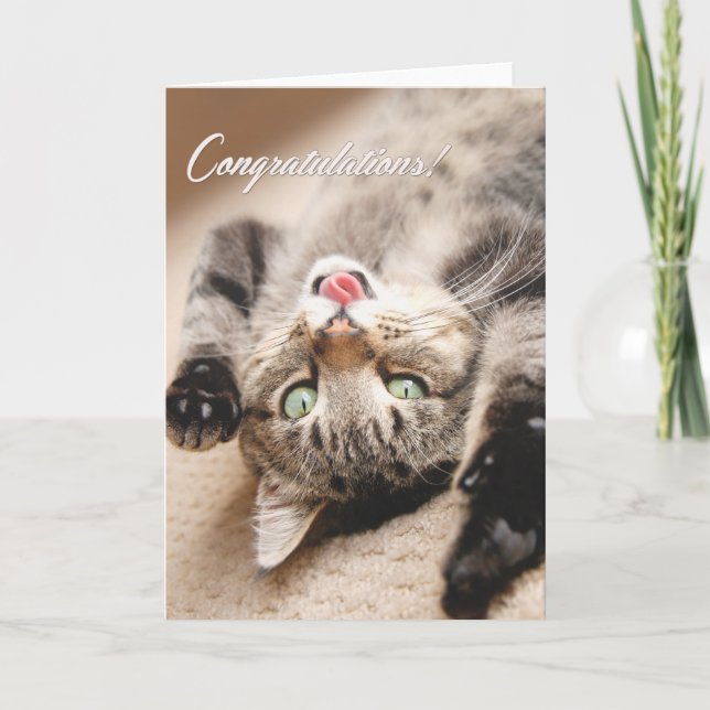 Grattisen Card med den lyckliga Tabbykattungen Kort (Framsida)
