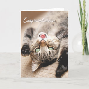 Grattisen Card med den lyckliga Tabbykattungen Kort
