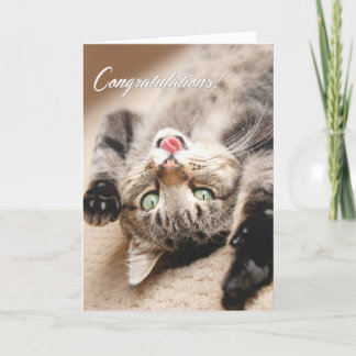 Grattisen Card med den lyckliga Tabbykattungen Kort
