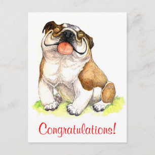 Grattiss Bulldog Puppy Hund Vykort
