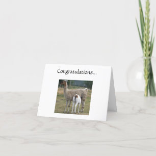 Gratulationer... Kort