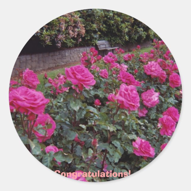 Gratulationer! Runt Klistermärke (Framsida)