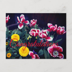 Gratulationer Vårblommor #4 vykort