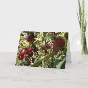 Gratulationskort "Apple Träd" Kort