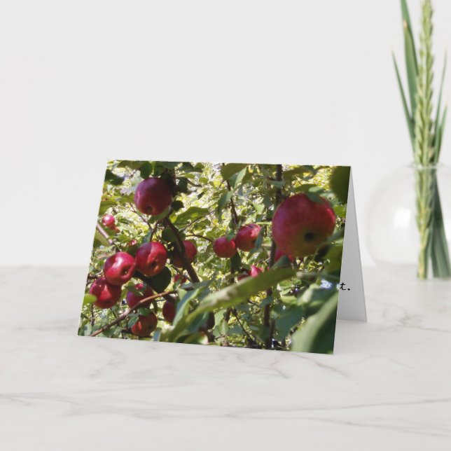 Gratulationskort "Apple Träd" Kort (Framsida)