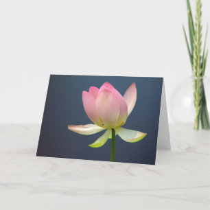 gratulationskort för lotus blommor kort