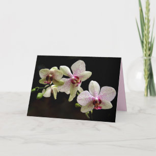 gratulationskort för tropiska blommor kort