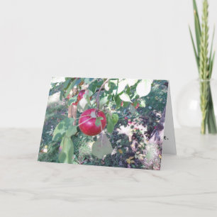 Gratulationskort "Hanging Apple" Kort
