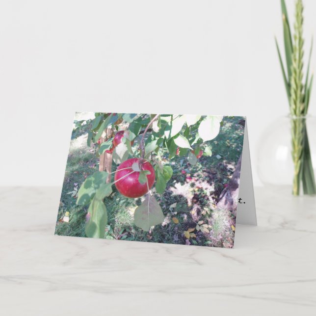 Gratulationskort "Hanging Apple" Kort (Framsida)