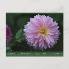 Gratulerar till konfirmationen Postcard CC0503 Vykort