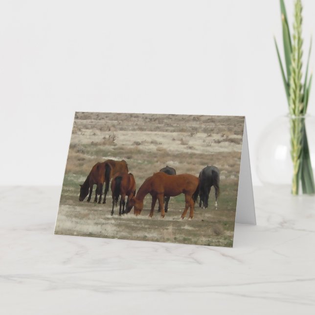 Gratulerar till New Vet Student - Ranch eller Farm Kort (Framsida)