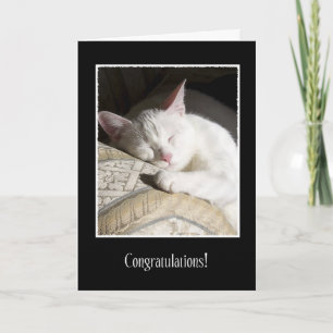 Gratulerart kort för kattadoption