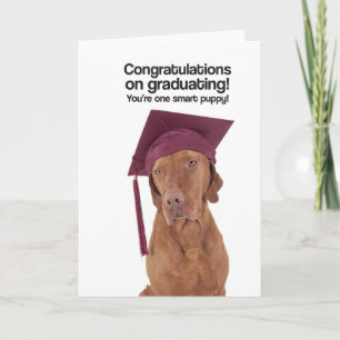Gratulerart på att avlägga examen (Vizsla) - Kort