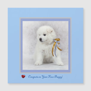 Gratulerart på nytt samoyed Puppy Magnetic Card.