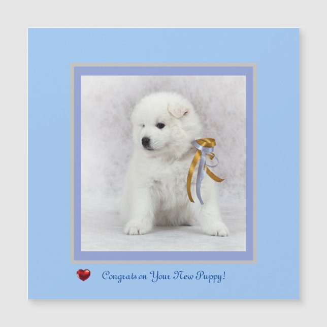 Gratulerart på nytt samoyed Puppy Magnetic Card. (Framsida)
