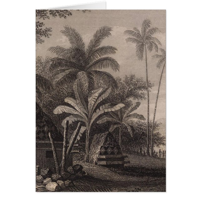 Grav, Muthuata, Fiji Hälsningskort (Framsidan)