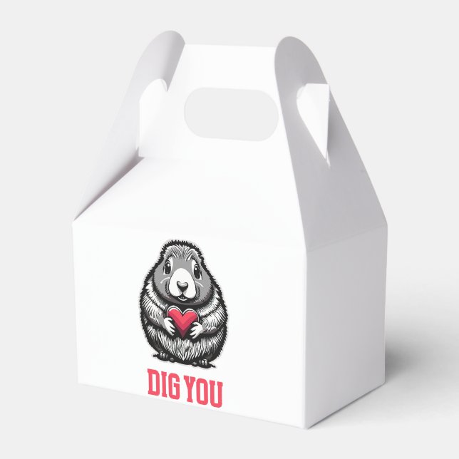  Gräva Dig Presentaskar (Framsidan Sidan)