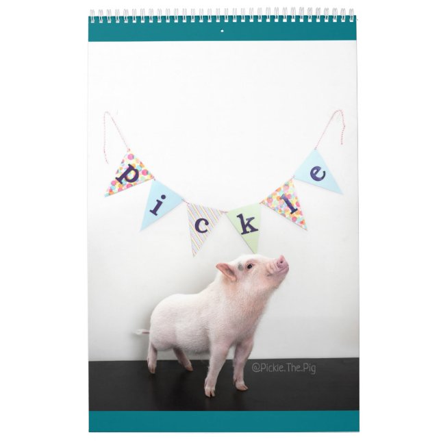 Grava griskalendern kalender (Omslag)