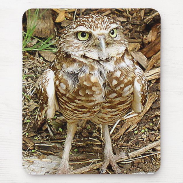 Gräva ugglan Mousepad Musmatta (Framsidan)