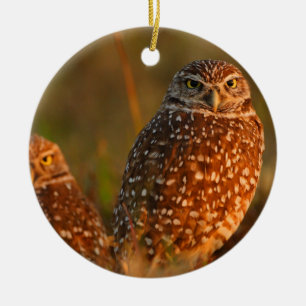 gräva ugglor julgransprydnad keramik