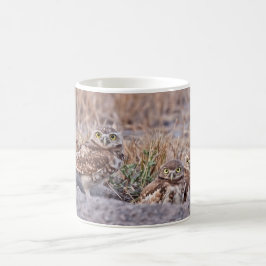 Gräva ugglor kaffemugg