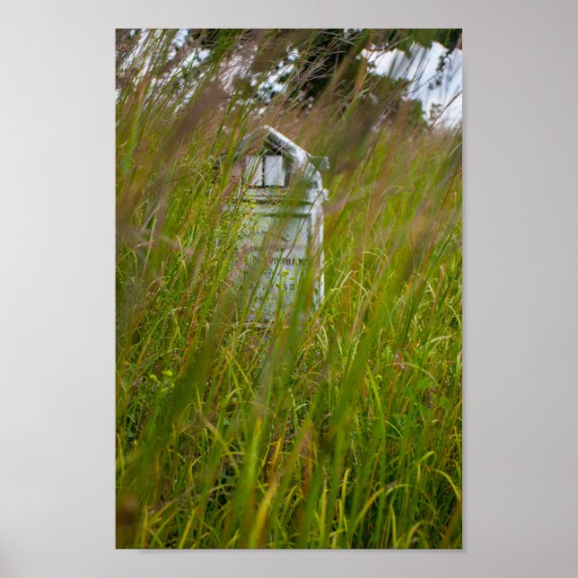 Grave, Smith Cemetery State Nature Preserve, Ohio Poster (Framsidan)