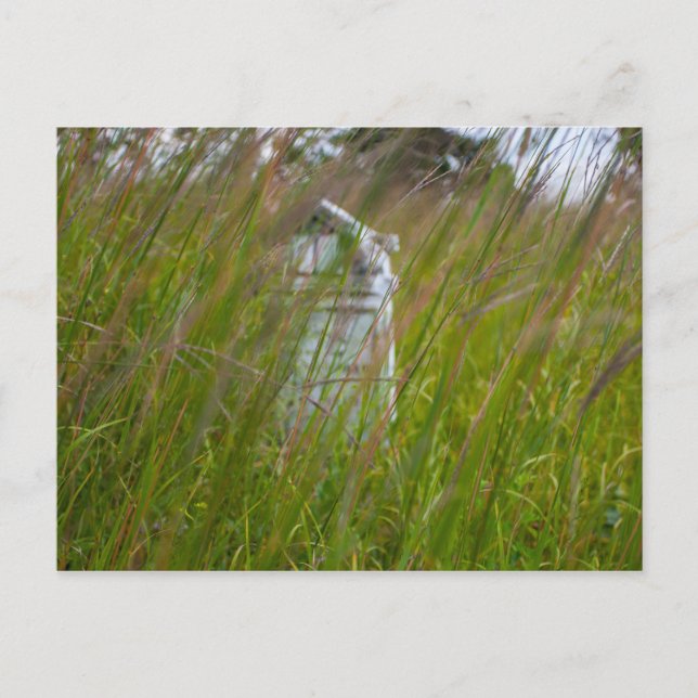 Grave, Smith Cemetery State Nature Preserve, Ohio Vykort (Framsida)