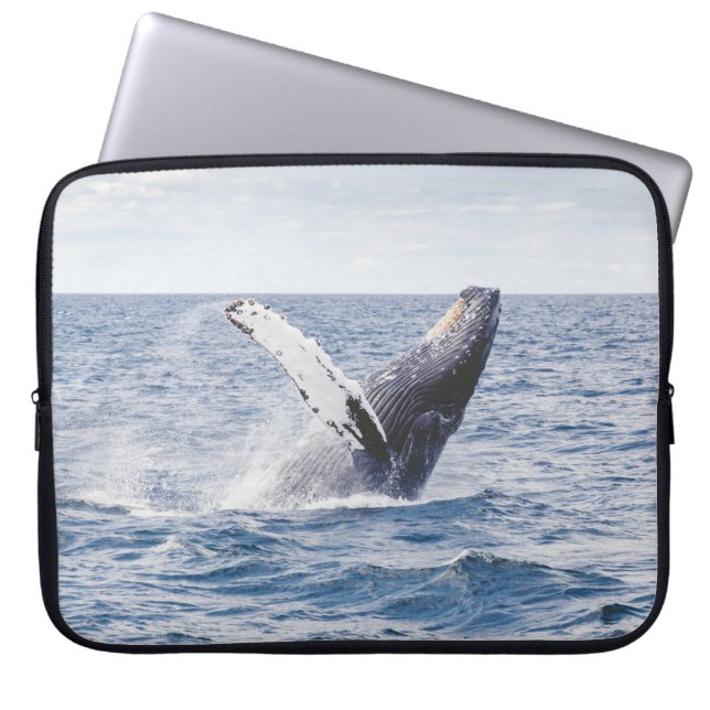 Gråvelljumpar ut ur havet laptop fodral (Framsidan)