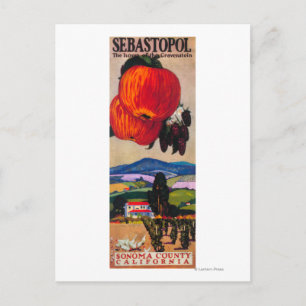 Gravensteins hem Poster Vykort